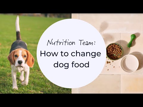 How to change dog food