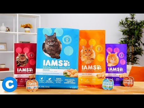 Iams Cat Food | Chewy