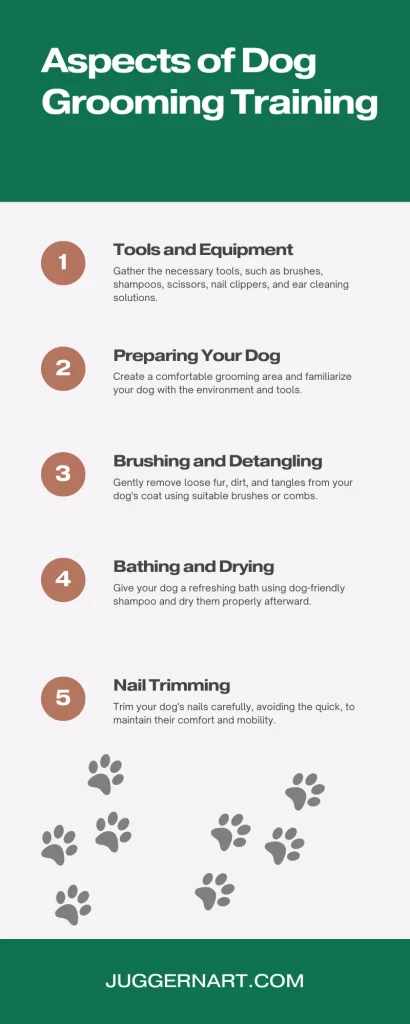 Dog Grooming Training