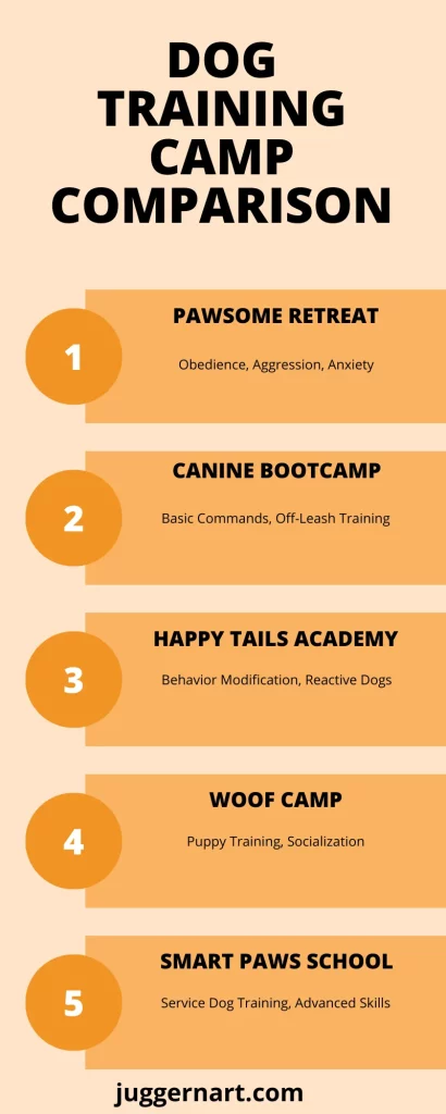Dog Training Camp