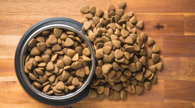 fresh pet dog food