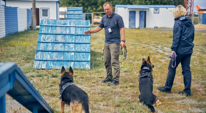 psychiatric service dog training