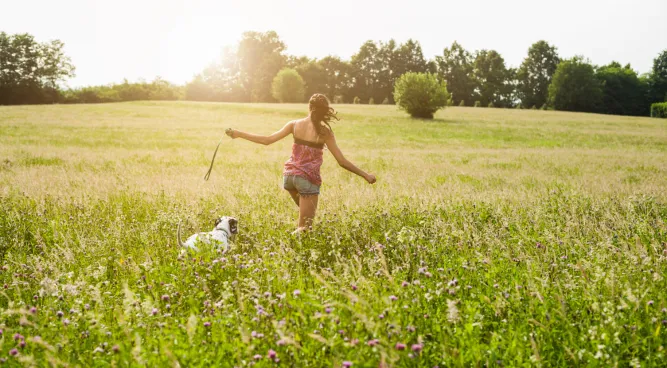 free dog training near me