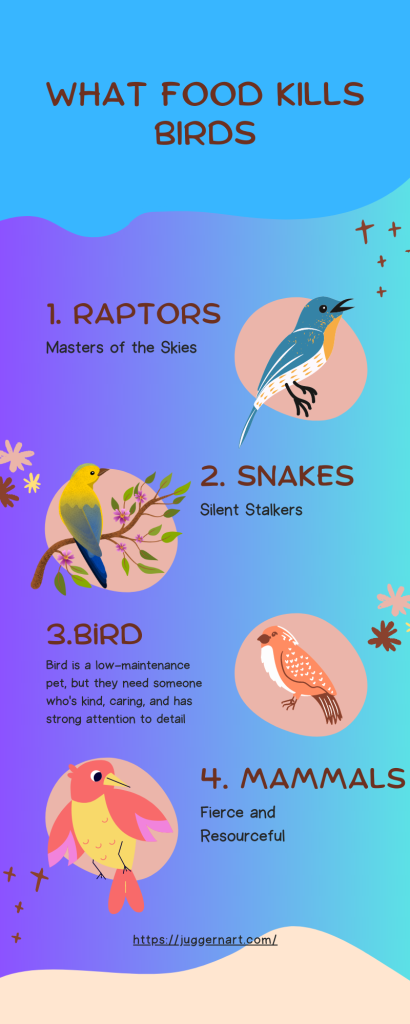 what food kills birds