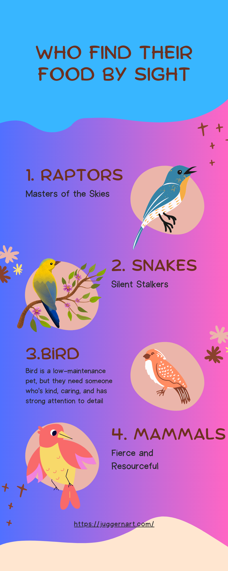 Birds Who Find Their Food By Sight: A Fascinating Feeding Strategy