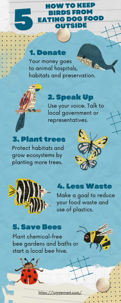 How To Keep Birds From Eating Dog Food Outside