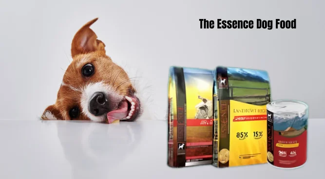 Unlocking the Best Nutrition: Essence Dog Food