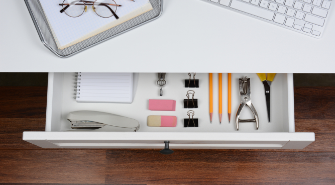 In Desk Pets Accessories