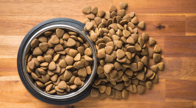 Discover the Benefits of SOJO Chicken Complete Freeze-Dried Dog Food
