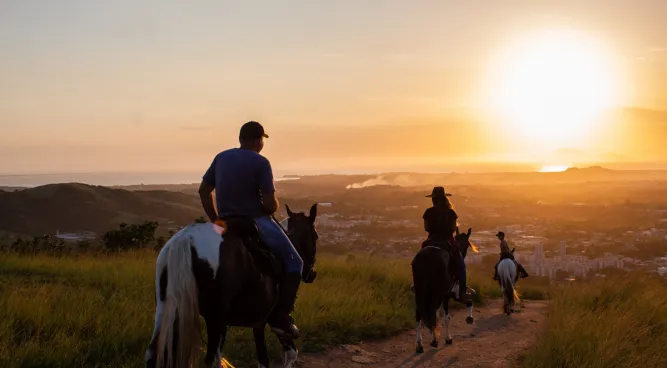 Horse Riding Near Me: Unleashing the Joy of Horseback Adventures