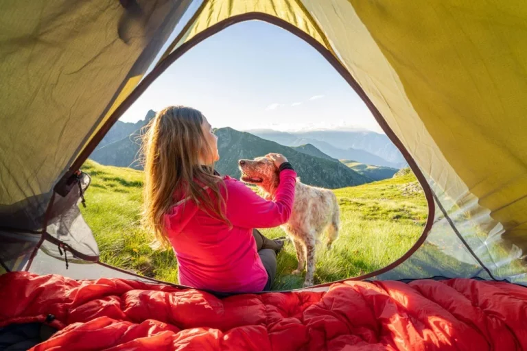 tents for camping with dogs review