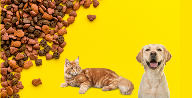 Can Dogs Eat Cat Treats? The Complete Guide to the Benefits, Risks, and Safe Feeding Tips