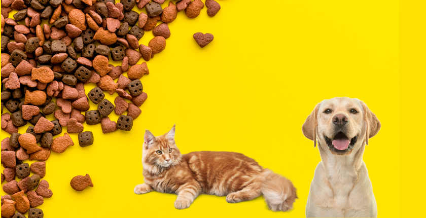 Can Dogs Eat Cat Treats