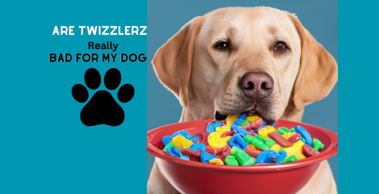 Can Dogs Eat Twizzlers? The Complete Guide to the Benefits, Risks, and Safe Feeding Tips