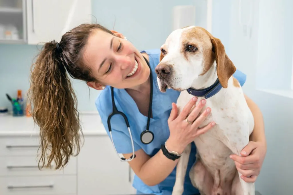 the Importance of Prescription Pet Medications