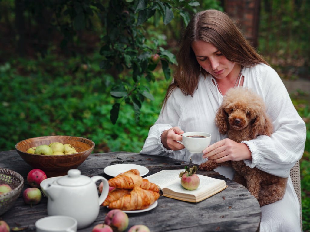 Can Dogs Eat Cinnamon Rolls