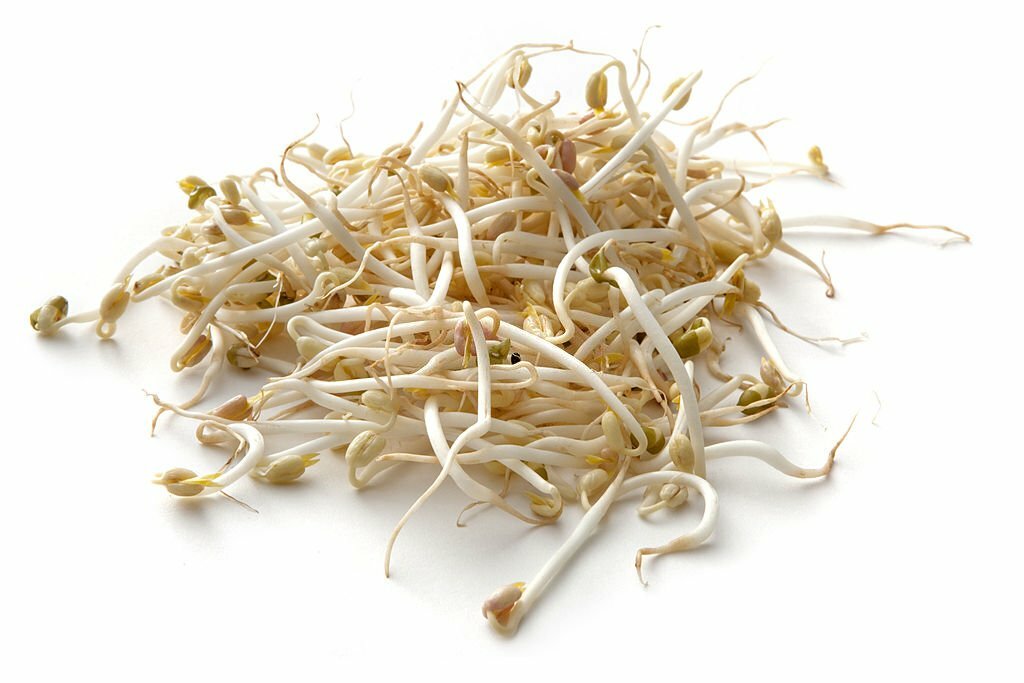 Can Dogs Eat Bean Sprouts