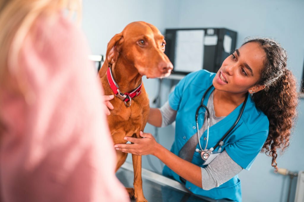 Ladies Doctor Checking the Dog