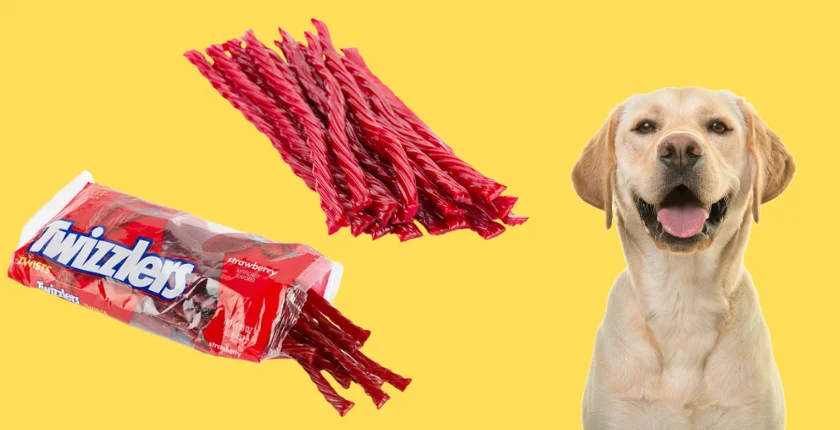 Can Dogs Eat Twizzlers