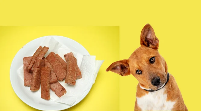 Can Dogs Eat Spam? The Complete Guide to the Benefits, Risks, and Safe Feeding Tips