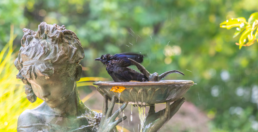 Solar Bird Bath Fountain