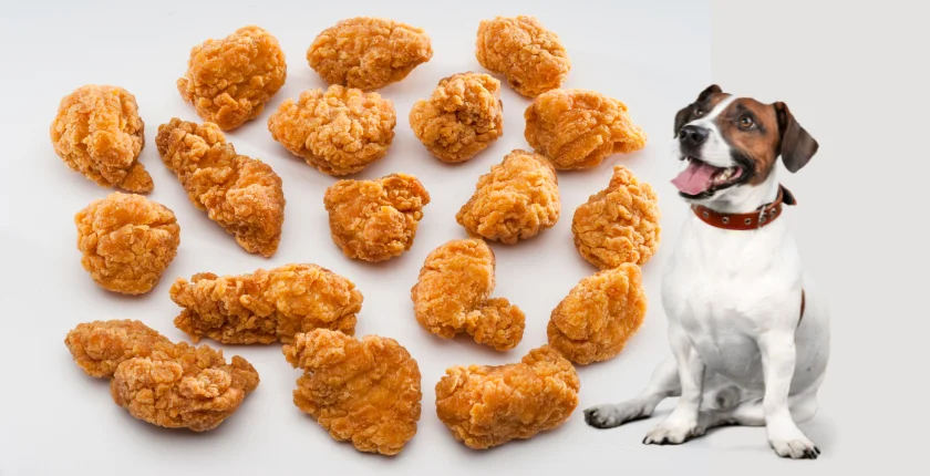 Can Dogs Eat chicken nuggets
