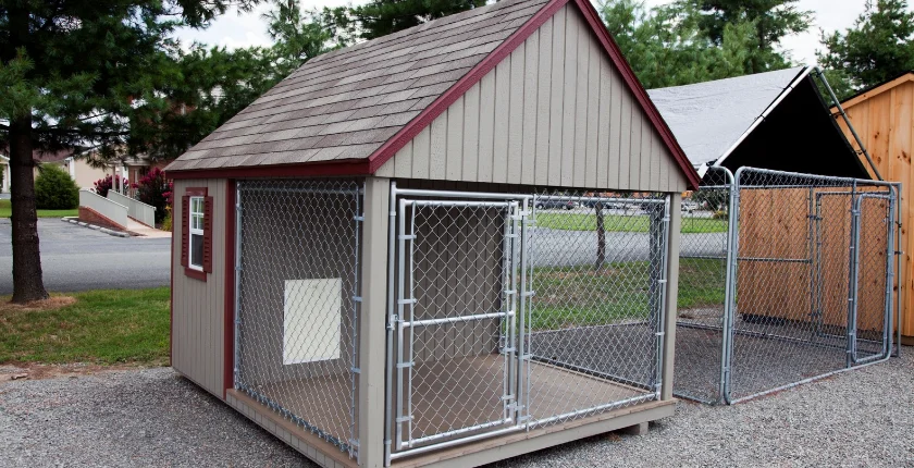 Retriever Dog Kennel