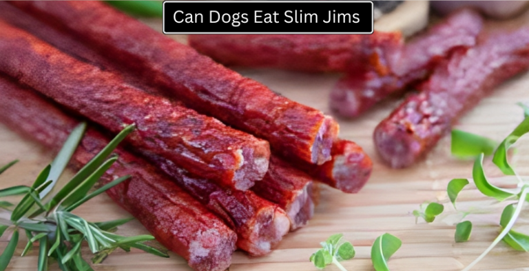 Can Dogs Eat Slim Jims? The Complete Guide to the Benefits, Risks, and Safe Feeding Tips