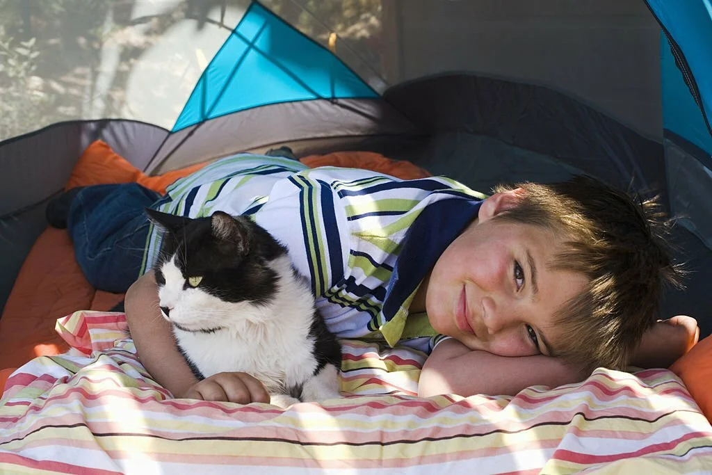 camping with cats