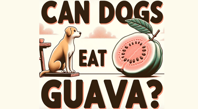 Can Dogs Eat Guava? The Complete Guide to the Benefits, Risks, and Safe Feeding Tips