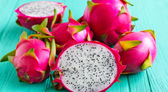 Can Rats Eat Dragon Fruit