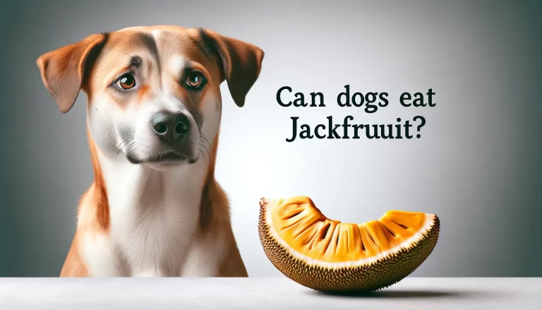 Can Dogs Eat jackfruit? The Complete Guide to the Benefits, Risks, and Safe Feeding Tips