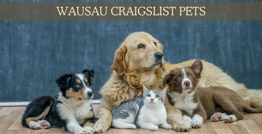 Wausau Craigslist Pets